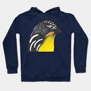 Native Birds of Australia Collage - Set 4 Pardalote Hoodie